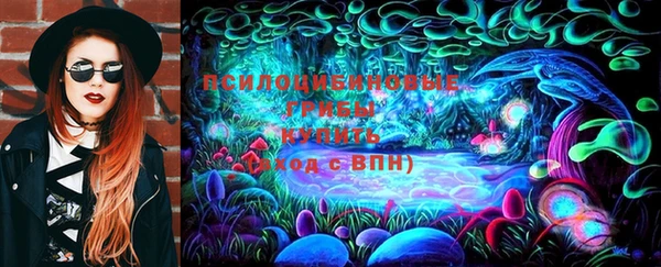 apvp Алзамай