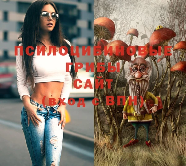 apvp Алзамай